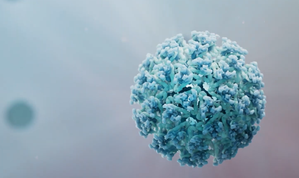 抗原设计与免疫策略