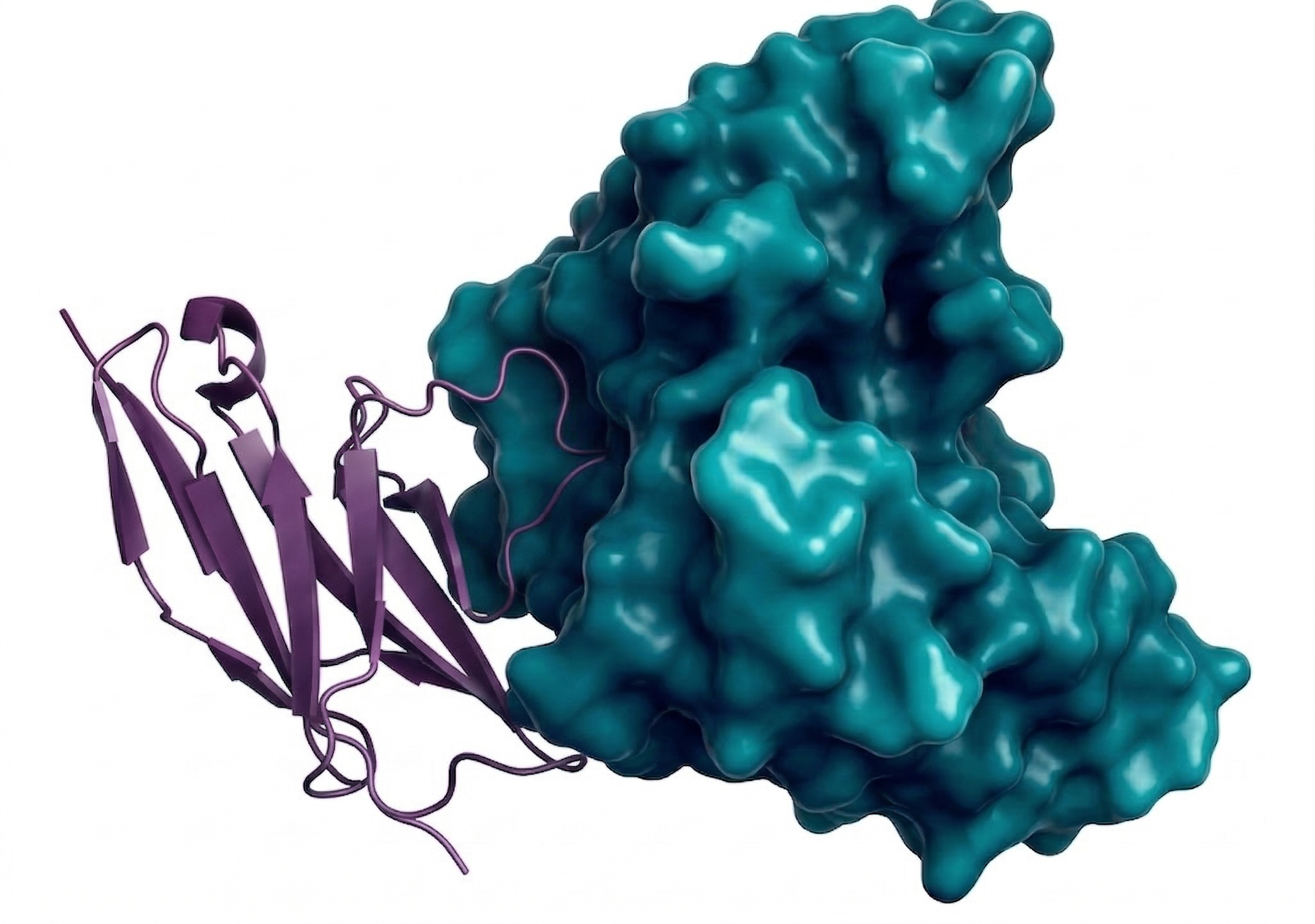 蛋白质表征平台